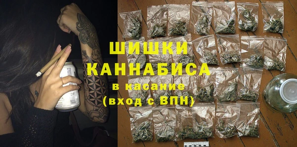 ГАЛЛЮЦИНОГЕННЫЕ ГРИБЫ Волосово