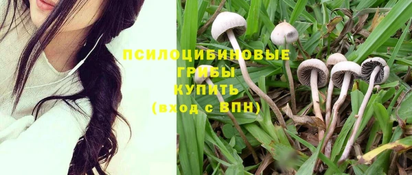 ГАЛЛЮЦИНОГЕННЫЕ ГРИБЫ Волосово