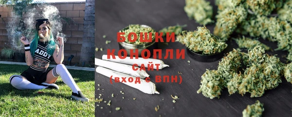 ГАЛЛЮЦИНОГЕННЫЕ ГРИБЫ Волосово
