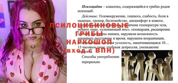 ГАЛЛЮЦИНОГЕННЫЕ ГРИБЫ Волосово