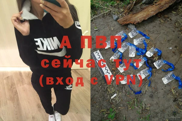 крисы Волоколамск