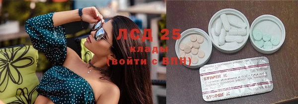 ГАЛЛЮЦИНОГЕННЫЕ ГРИБЫ Волосово