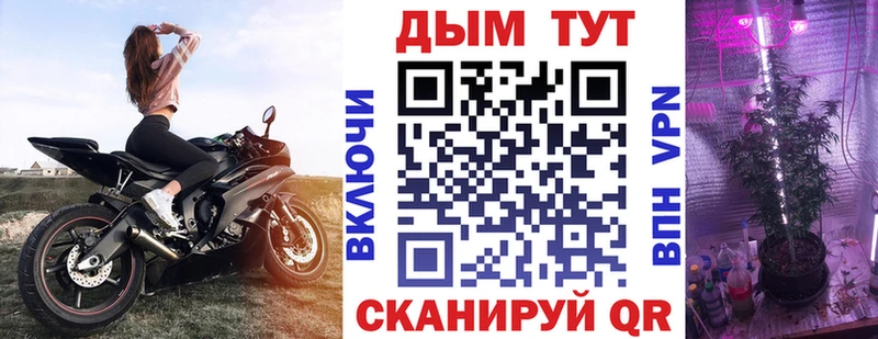 где продают наркотики  Калуга  Шишки марихуана марихуана 